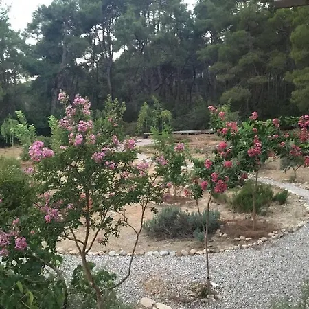 Derman Bahcesi Kumluca