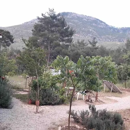 Derman Bahcesi * Kumluca