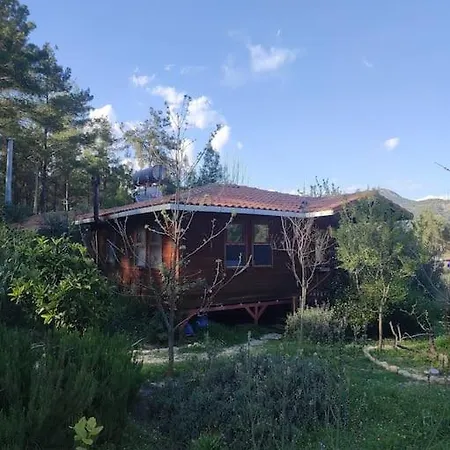 Case de vacanță Derman Bahcesi *