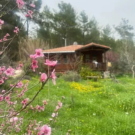 Derman Bahcesi Kumluca